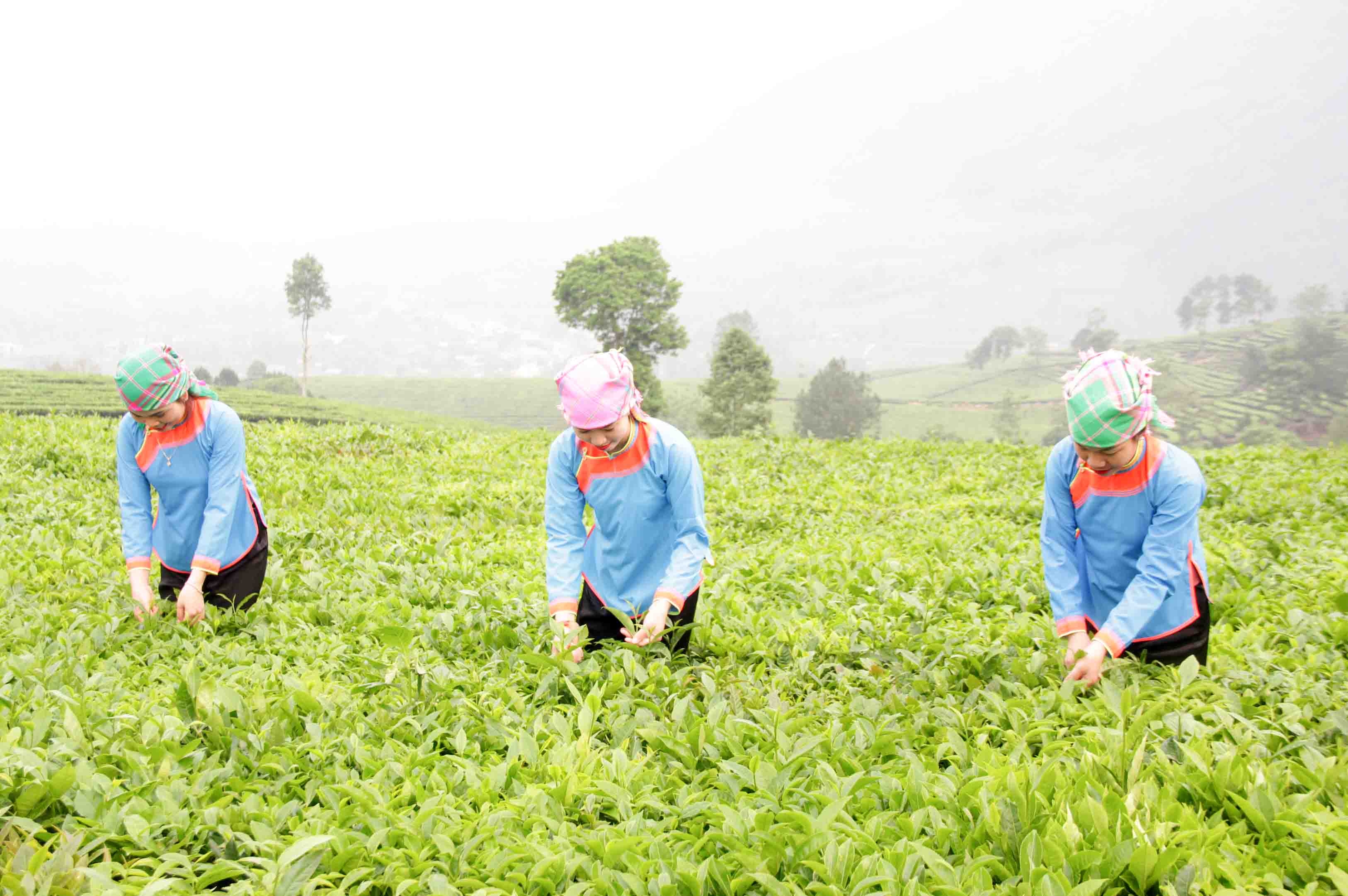 Tuyên truyền, vận động đồng bào dân tộc thiểu số tham gia xây dựng nông thôn mới